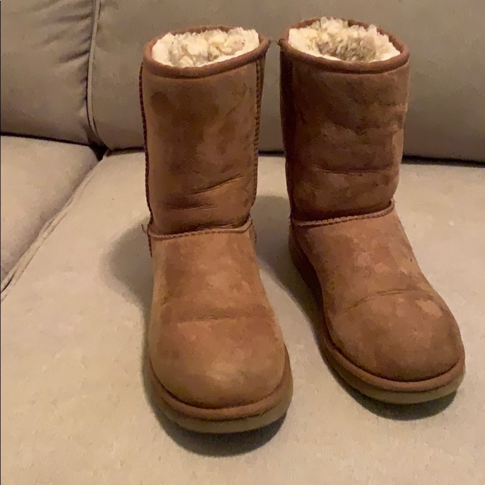Chestnut Ugg’s - image 1